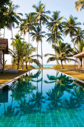 Outdoor swimming pool with palm trees reflecting in the water 
