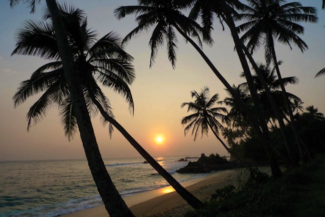 Sunset on the beach with palm trees 