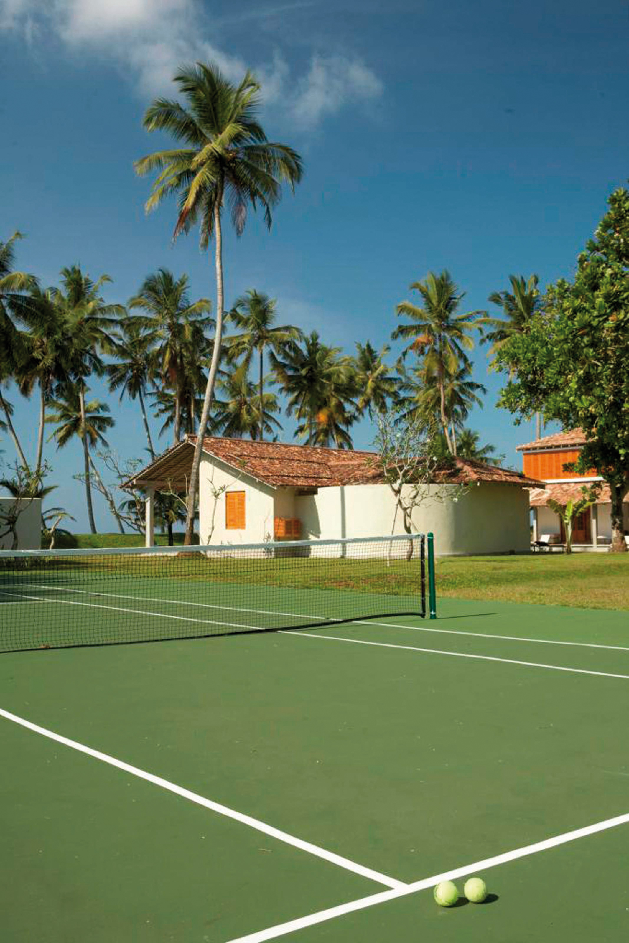 Tennis court with palm trees in the distance 