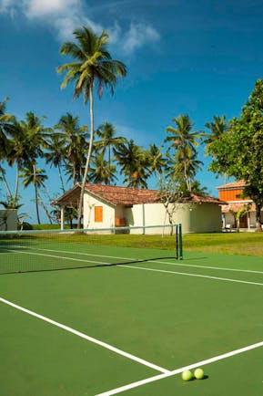 Tennis court with palm trees in the distance 