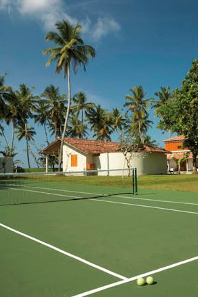 Tennis court with palm trees in the distance 