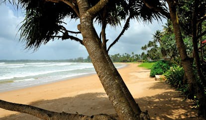 Weligama Bay Resort Sri Lanka beachfront with trees and gardens