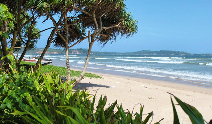 Weligama Bay Resort Sri Lanka beach garden and boats on the beach