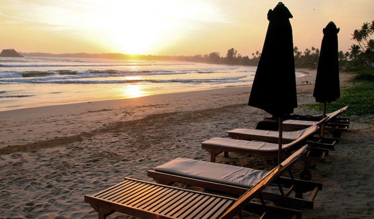 Weligama Bay Resort Sri Lanka beach sunset sun loungers on beach with palms