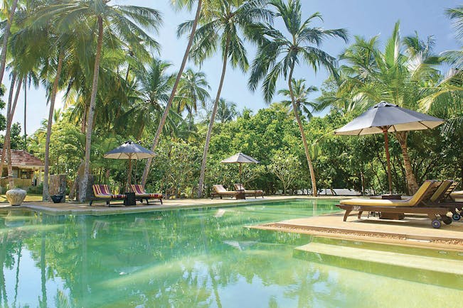 Why House Sri Lanka pool sun loungers umbrellas palm trees