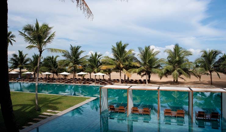 Jetwing Blue Sri Lanka poolside palm trees umbrellas sun loungers