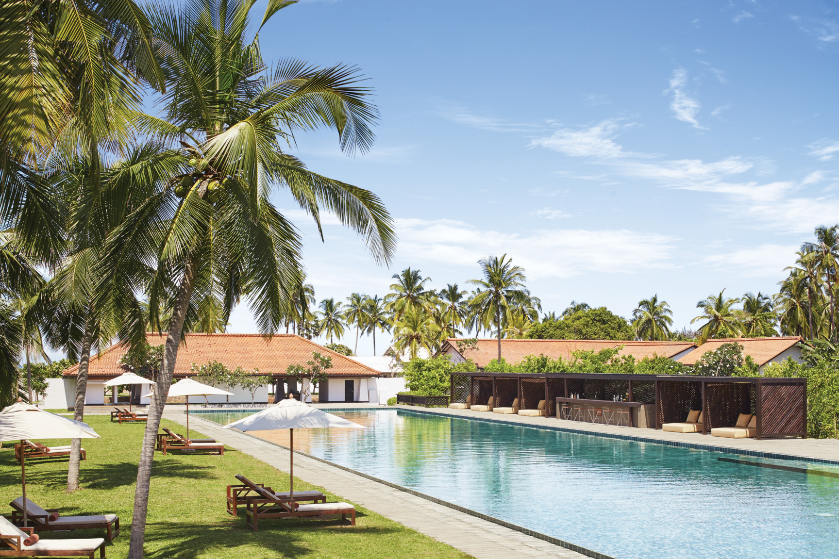 Outdoor pool with palm trees near by and sunbeds and umbrellas on grass