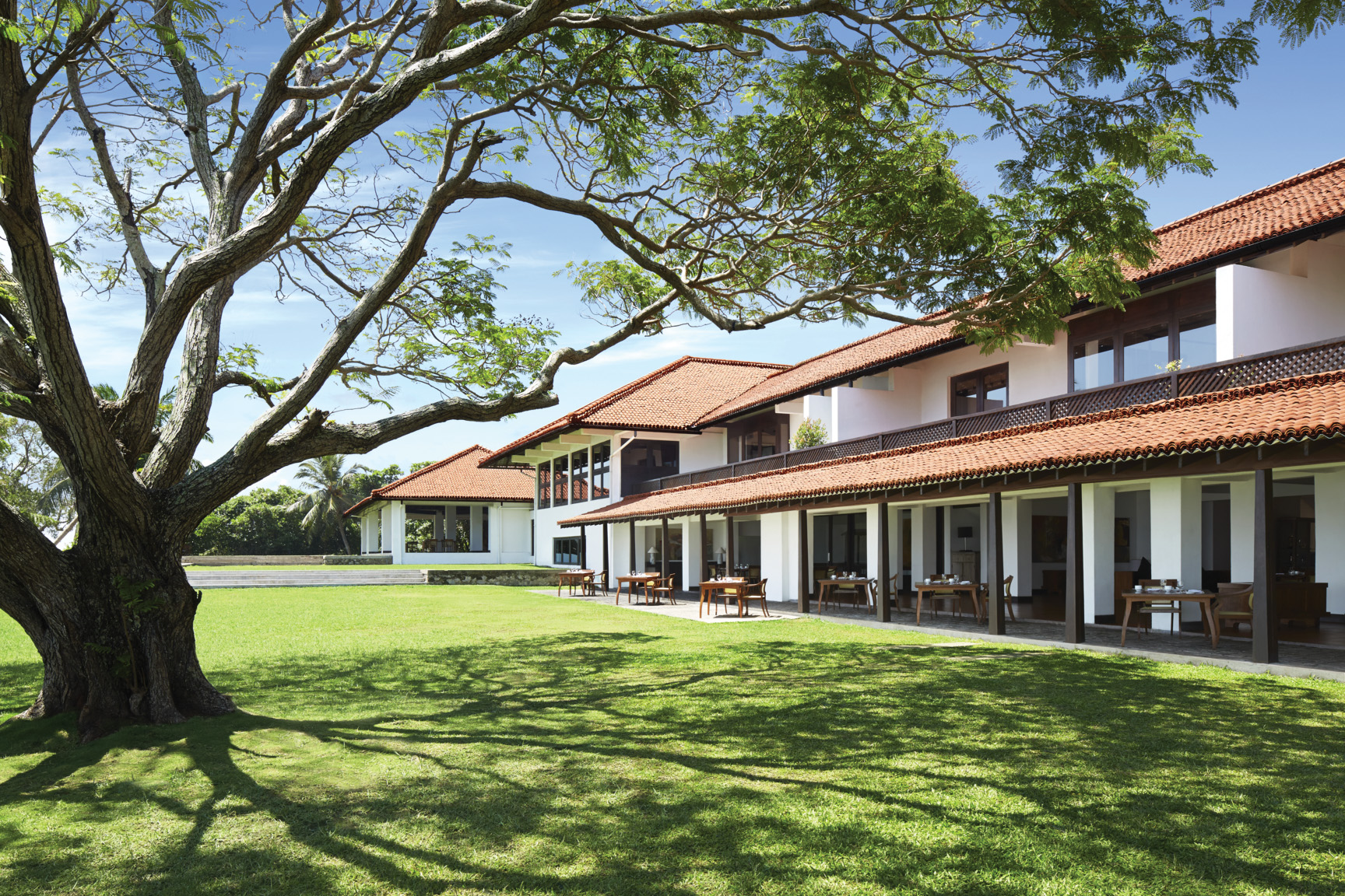 Exterior of Jetwing Lagoon with large tree in front on the grassy lawn 