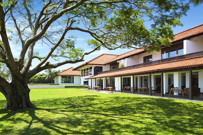 Exterior of Jetwing Lagoon with large tree in front on the grassy lawn 