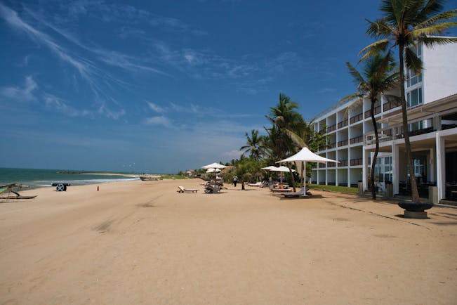 Jetwing Sea Sri Lanka beach sand umbrella palm tree sun loungers