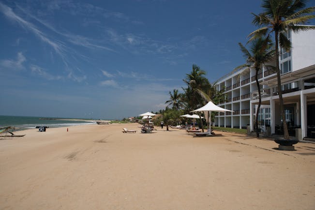 Jetwing Sea Sri Lanka beach sand umbrella palm tree sun loungers