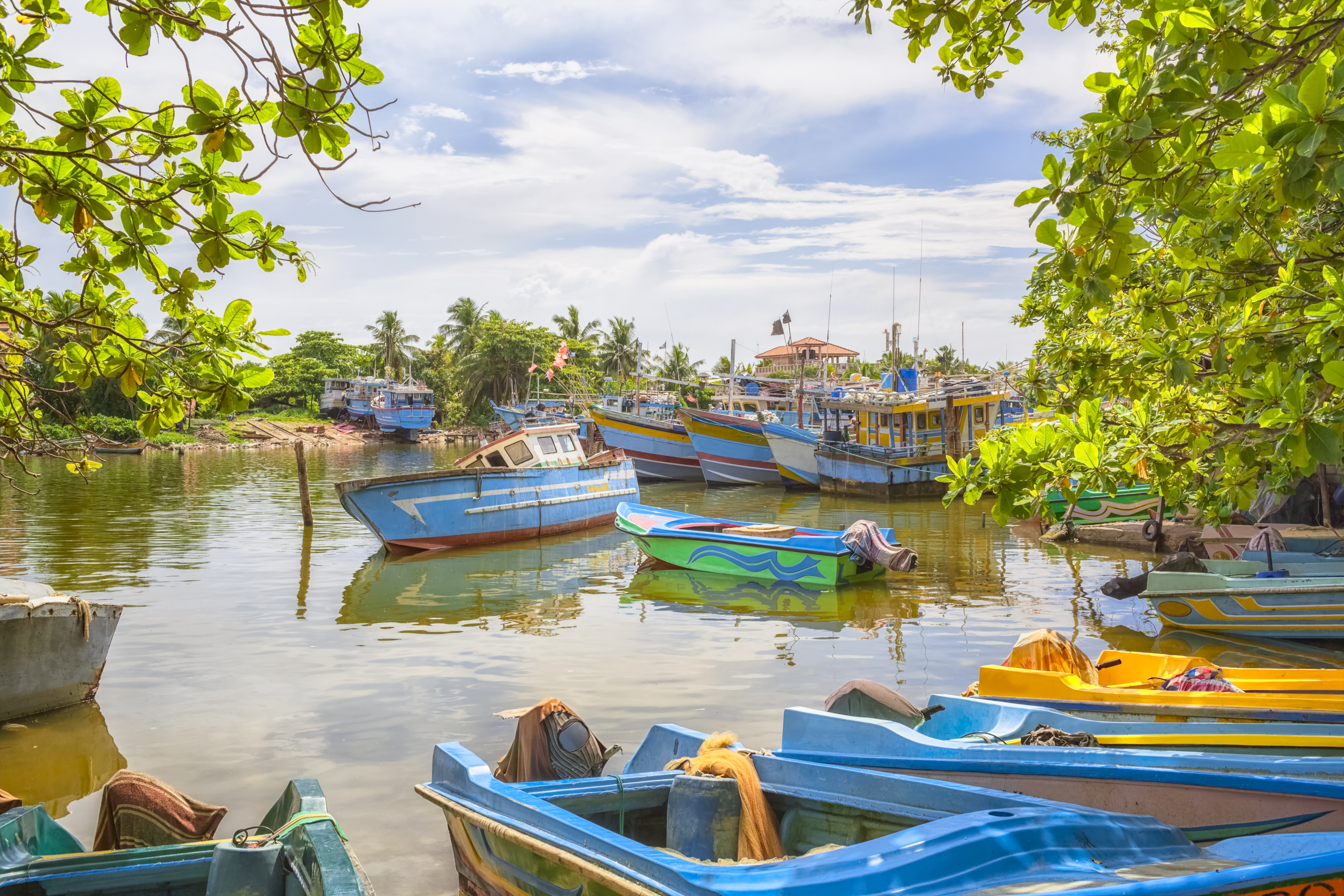 Fishing boats moored and on the water in Negombo, colourful boats, trees