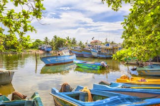 Fishing boats moored and on the water in Negombo, colourful boats, trees