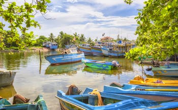 Fishing boats moored and on the water in Negombo, colourful boats, trees