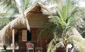 Palagama Beach garden cabana exterior, thatched rood, terrace with chair, surrounded by palm trees