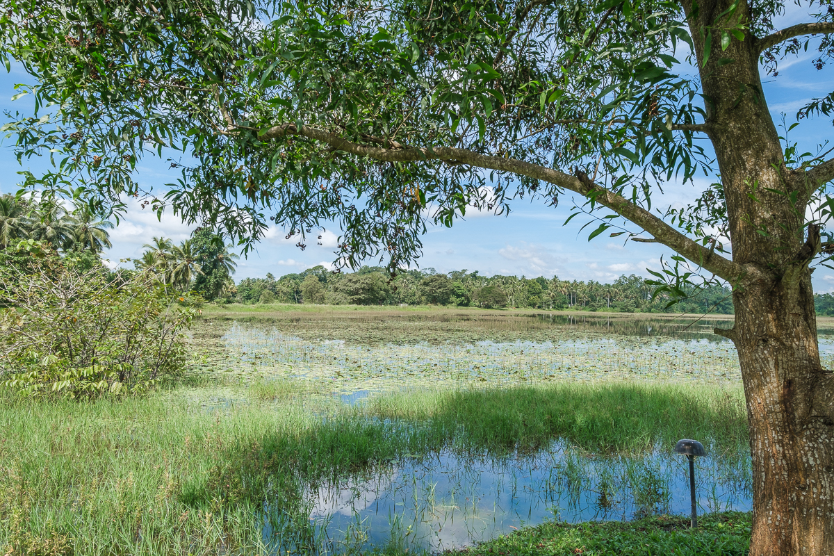 Notary's House near Colombo