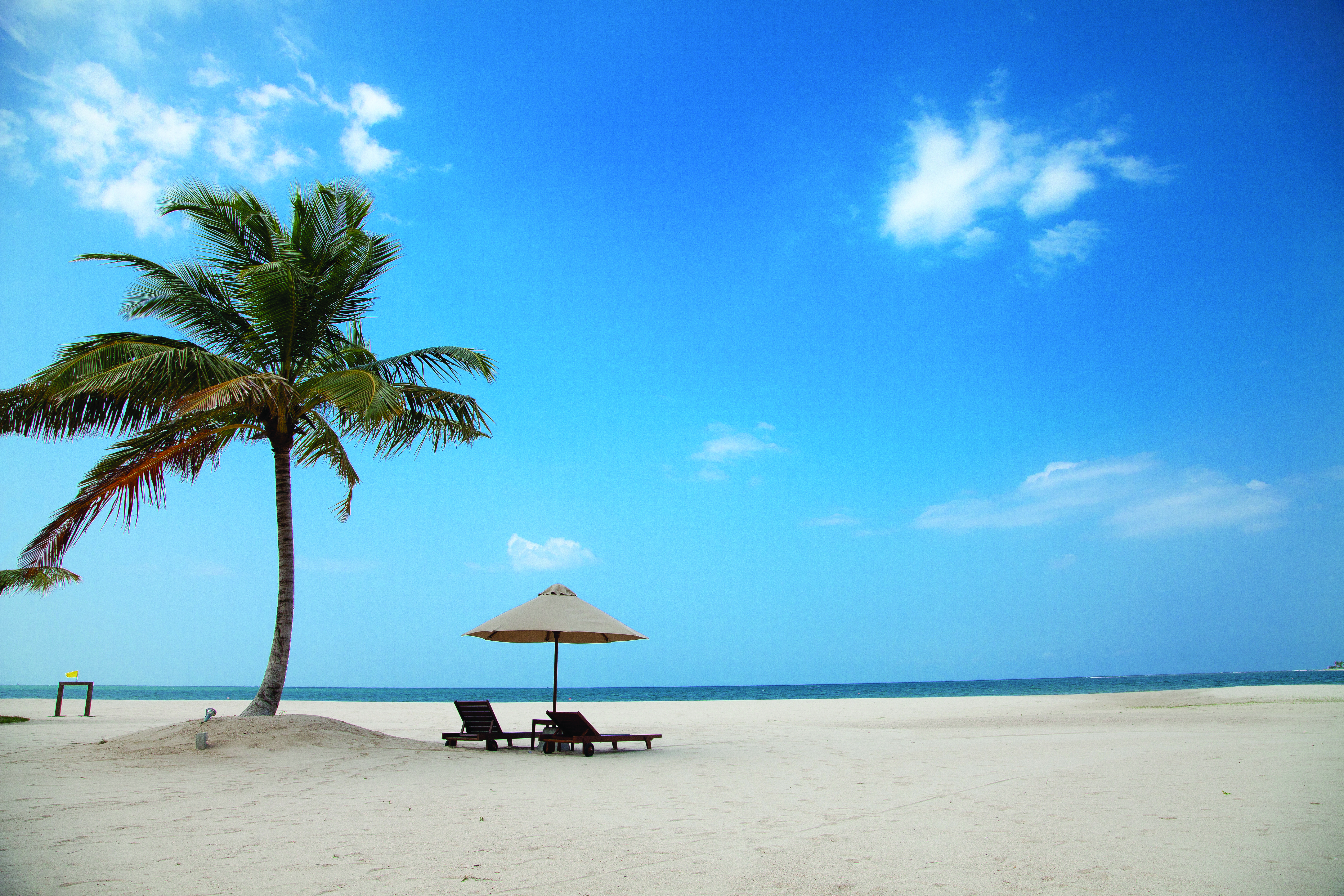 Uga Bay Sri Lanka beach sun loungers umbrellas palm tree white sandy beach ocean