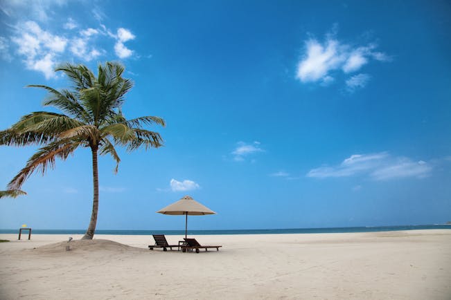 Uga Bay Sri Lanka beach sun loungers umbrellas palm tree white sandy beach ocean