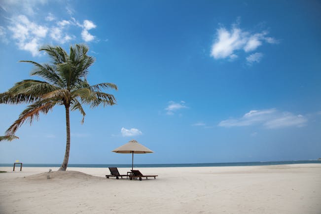 Uga Bay Sri Lanka beach sun loungers umbrellas palm tree white sandy beach ocean