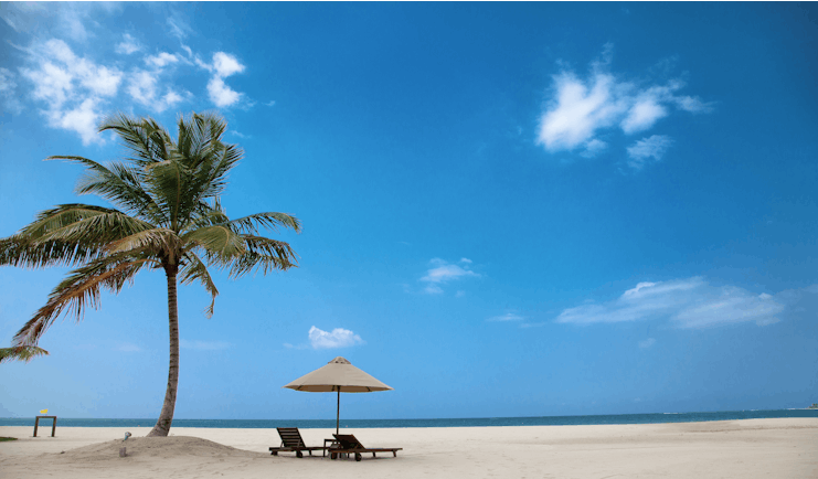 Uga Bay Sri Lanka beach sun loungers umbrellas palm tree white sandy beach ocean
