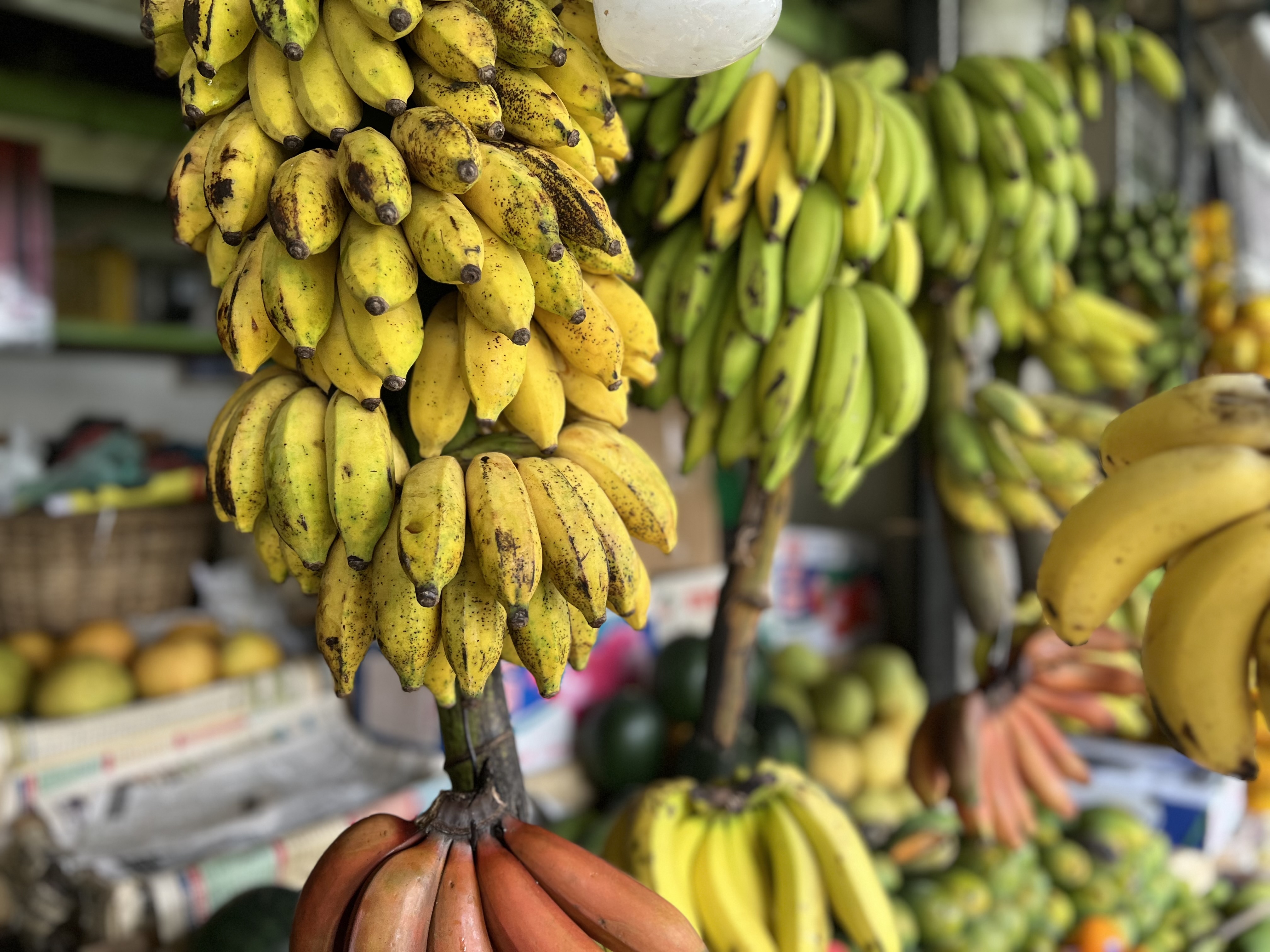Food and tea in Sri Lanka