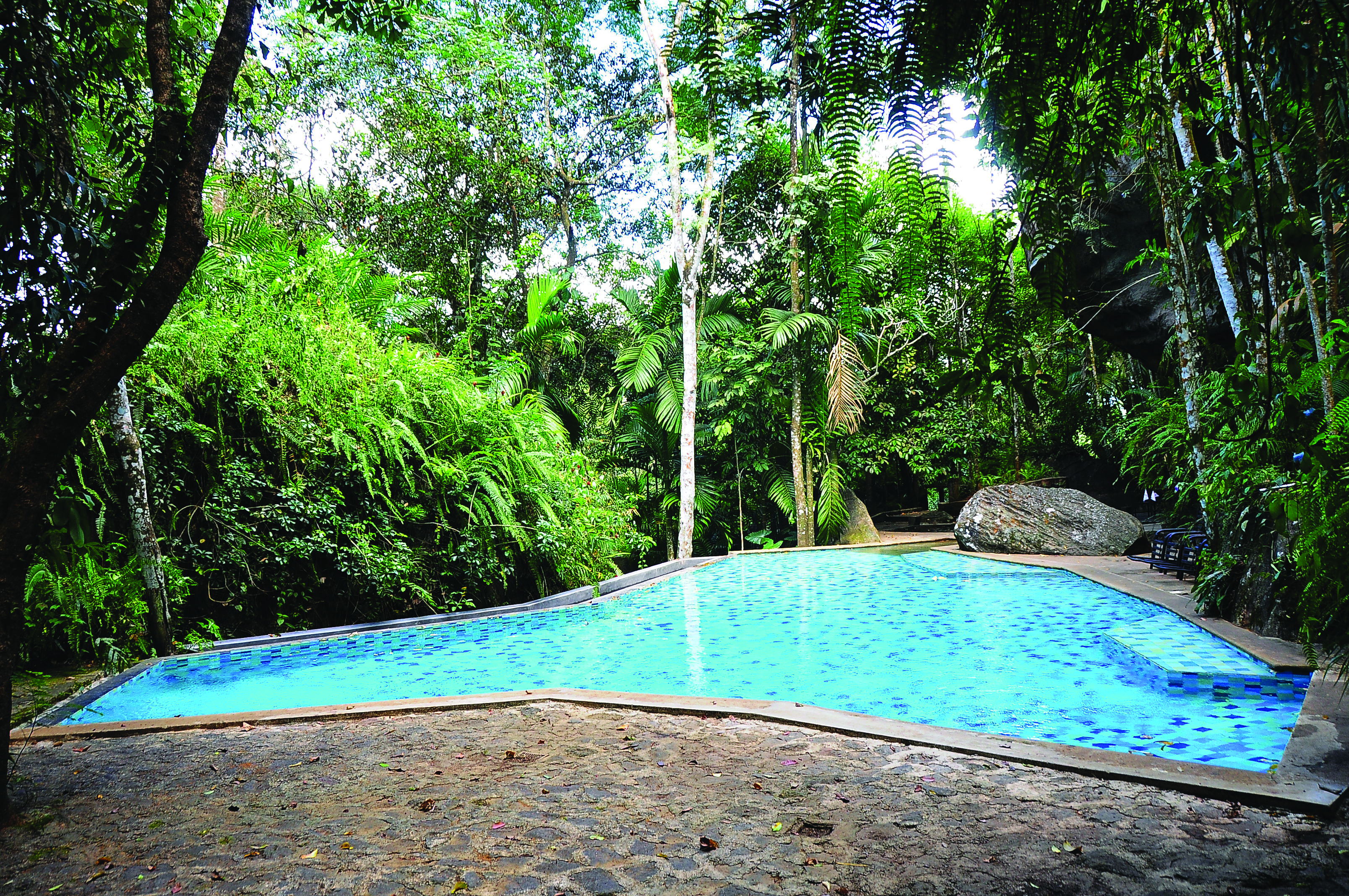 Boulder Garden pool surrounded by tropical trees and greenery