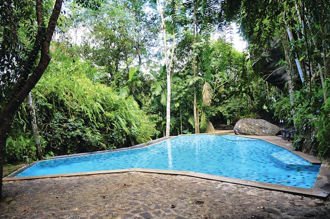 Boulder Garden pool surrounded by tropical trees and greenery