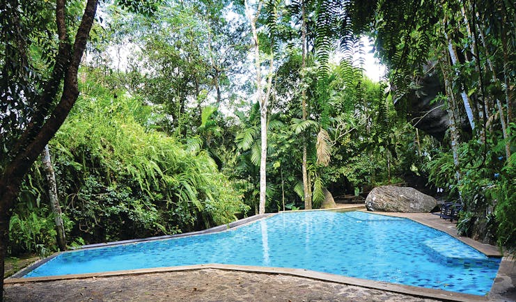 Boulder Garden pool surrounded by tropical trees and greenery