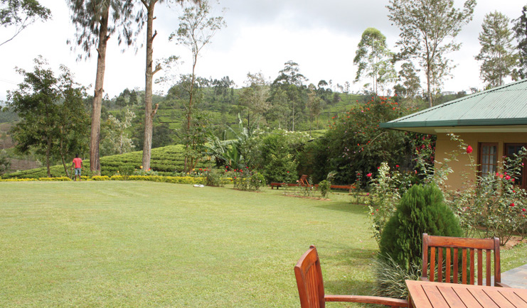 Ceylon Tea Trail Sri Lanka bungalow garden lawns forest flowers