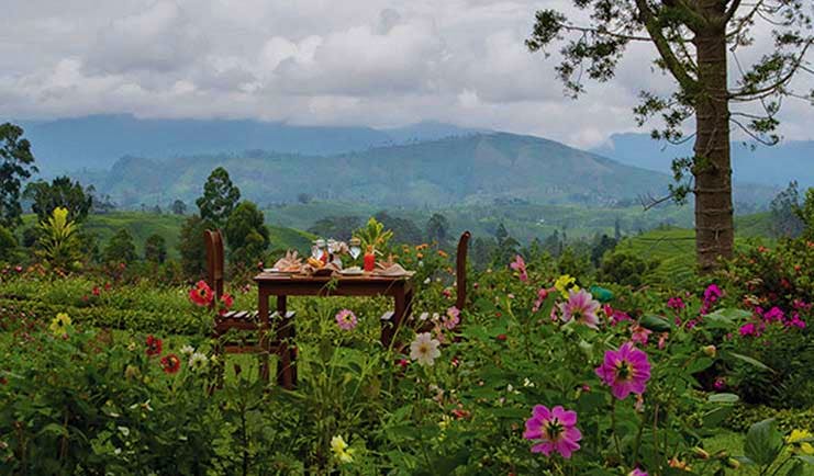 Governor's Mansion Sri Lanka dining in the gardens mountains and tea fields in background