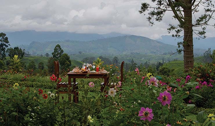 Governor's Mansion Sri Lanka dining in the gardens mountains and tea fields in background