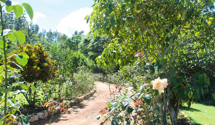 Kirchhayn Bungalow Sri Lanka path through gardens with trees and flowers