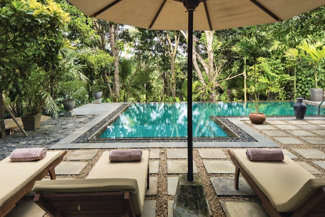 Rosyth Estate House Sri Lanka pool sunbeds umbrellas surrounded by trees