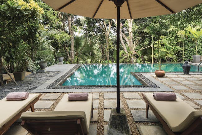 Rosyth Estate House Sri Lanka pool sunbeds umbrellas surrounded by trees