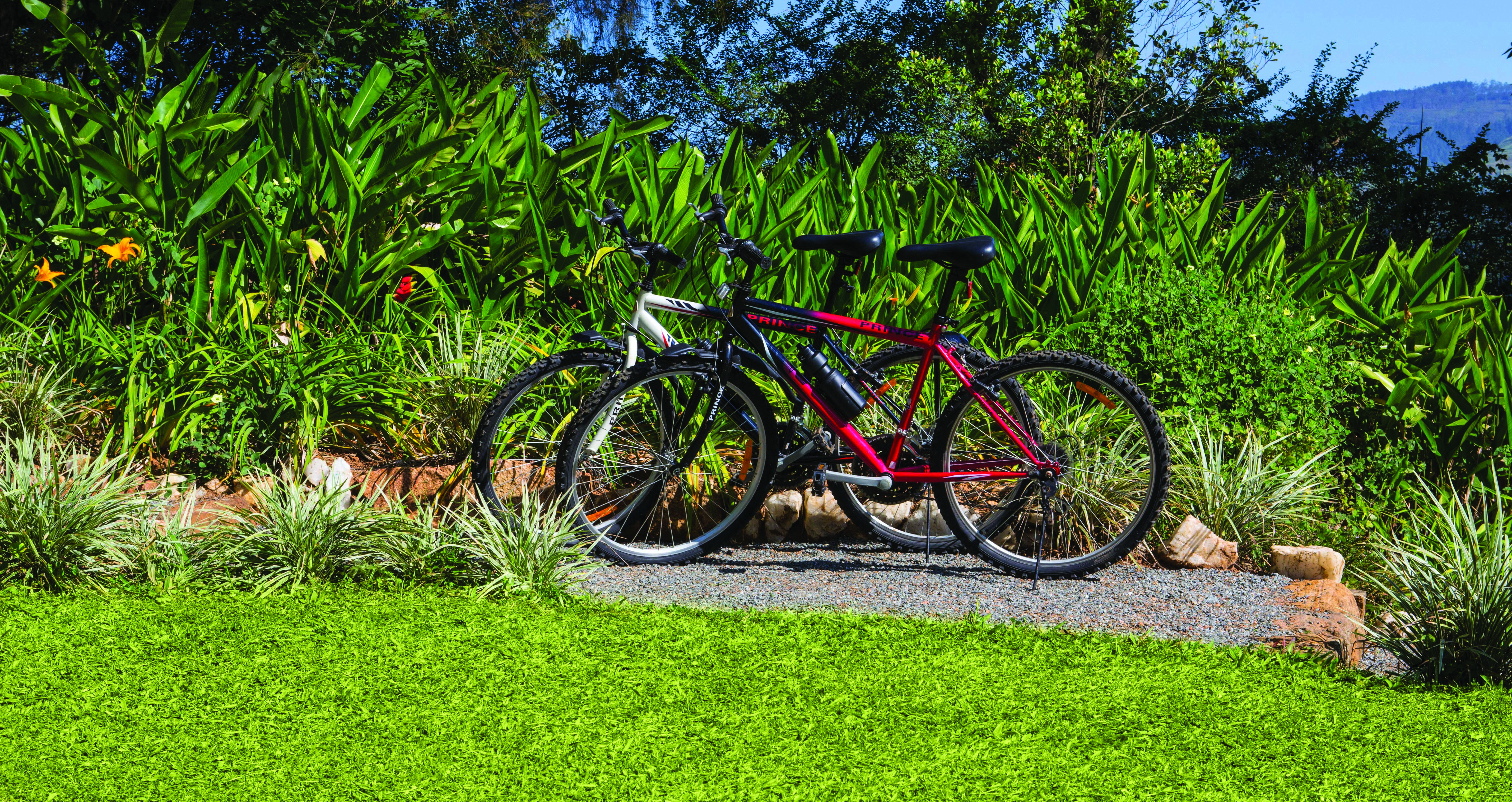 Taylor's Hill Sri Lanka bikes countryside surrounds