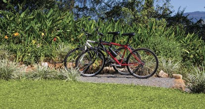 Taylor's Hill Sri Lanka bikes countryside surrounds