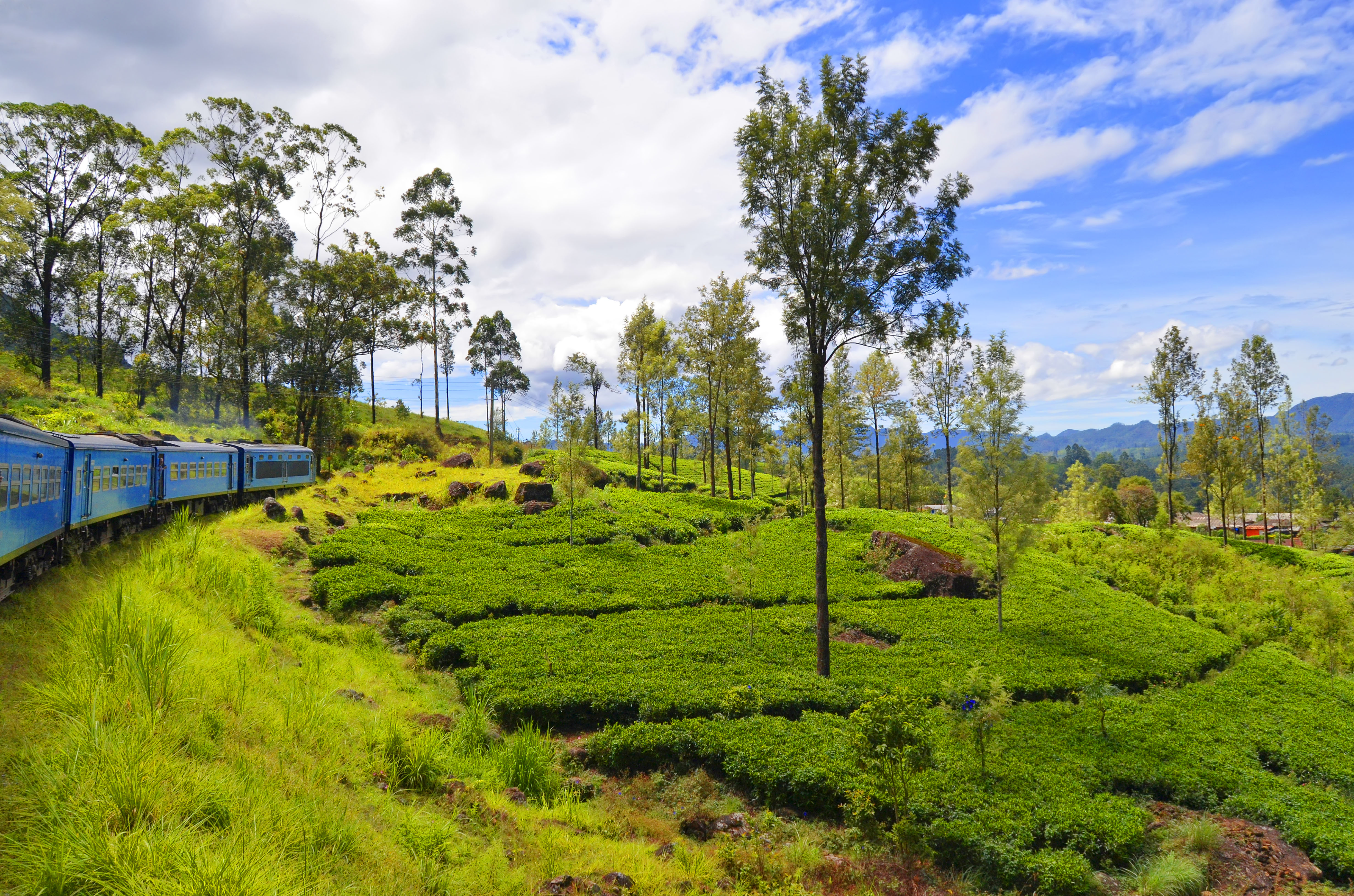 Train through Tea and Hill Country, trees, lush greenery, mountains in background