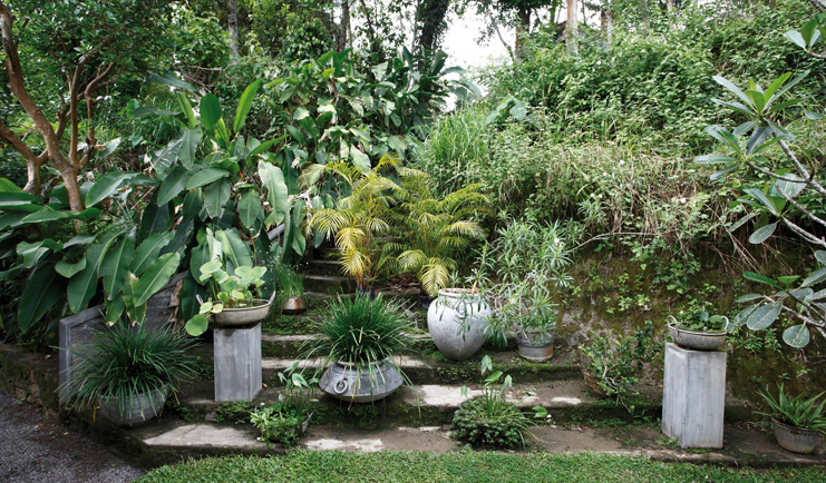 The Kandy House Sri Lanka garden stone steps greenery 