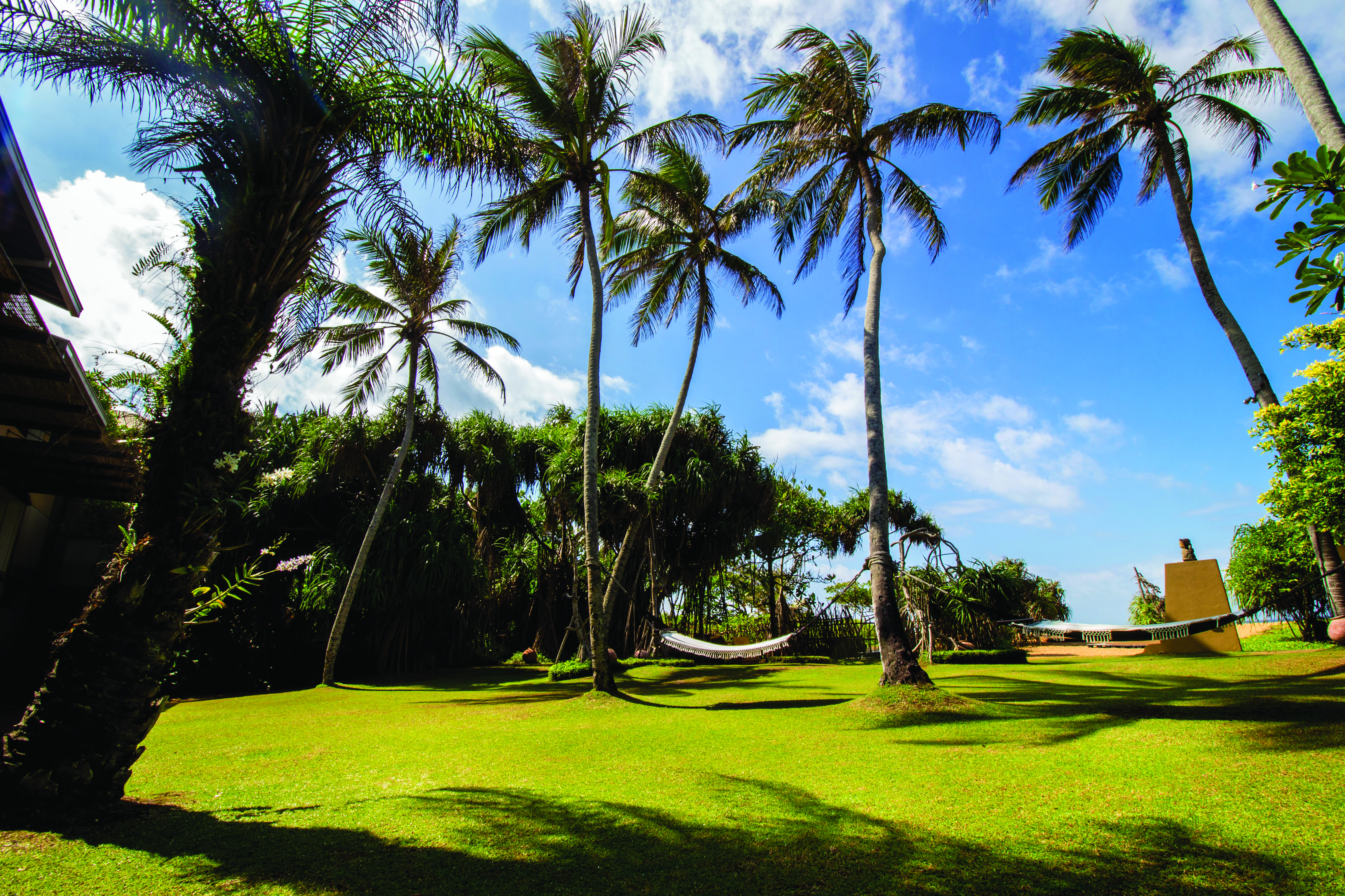 Aditya Resort gardens, lawns, palm trees, hammocks