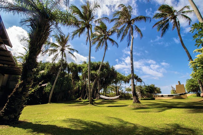 Aditya Resort gardens, lawns, palm trees, hammocks