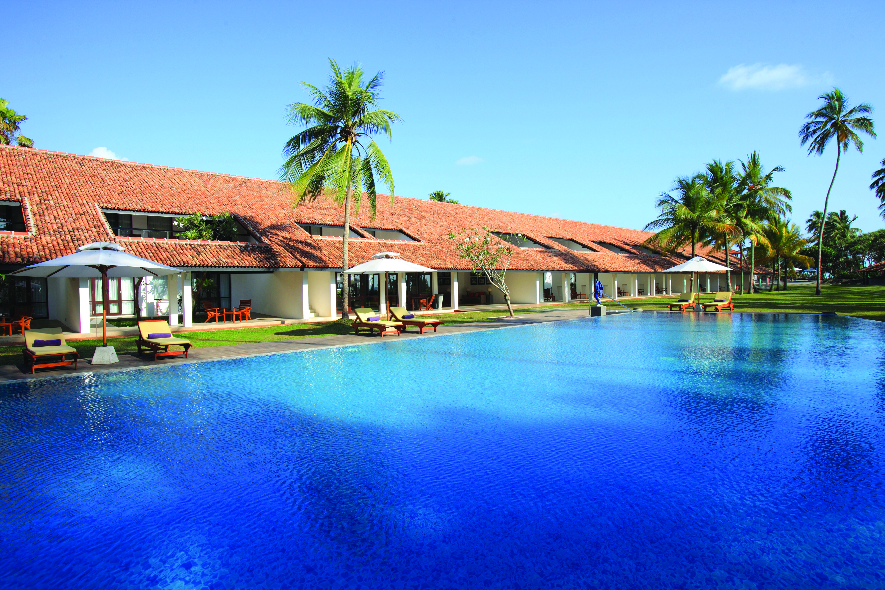 Avani Bentota Sri Lanka pool sun loungers umbrellas palm trees