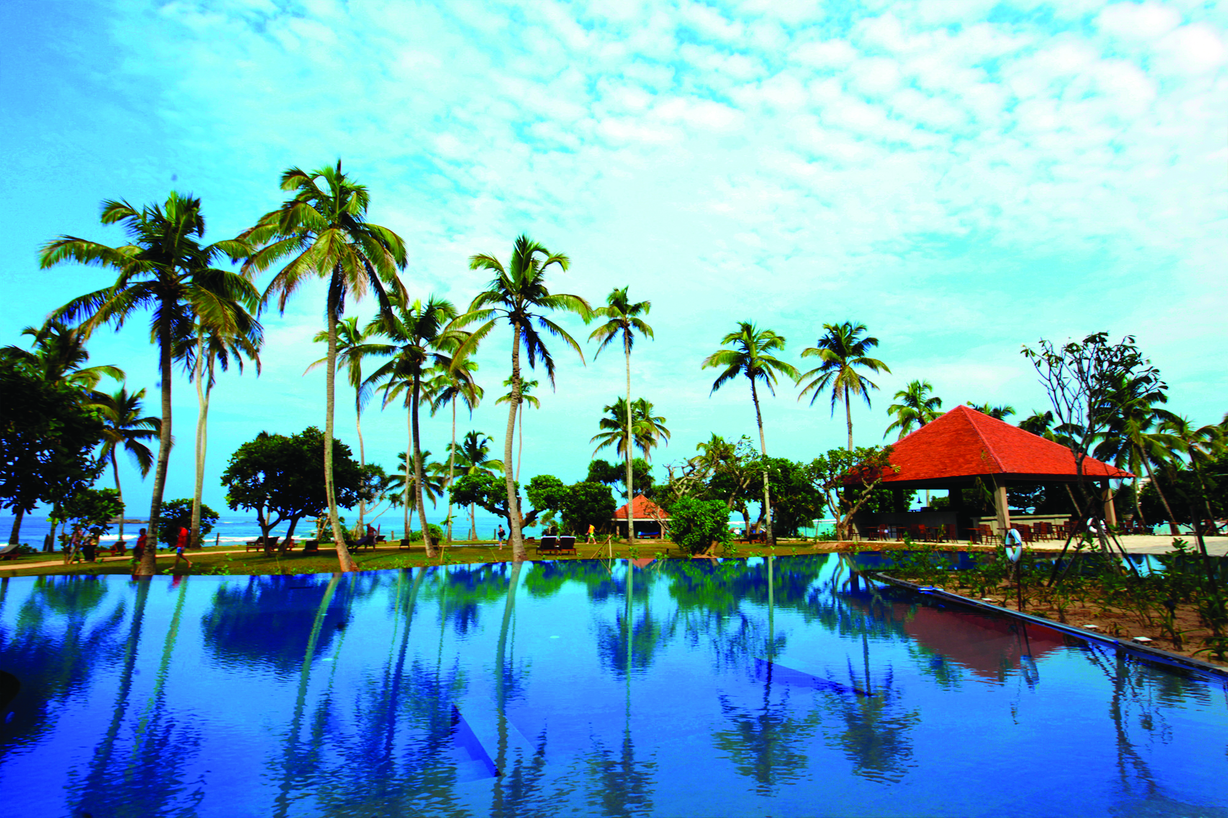 Hikka Tranz Sri Lanka pool palm trees pool bar sea in background