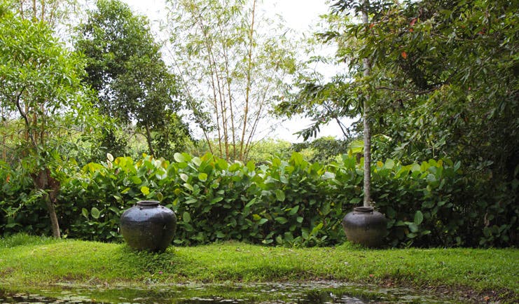 Lunuganga Sri Lanka garden with trees foliage and large urn