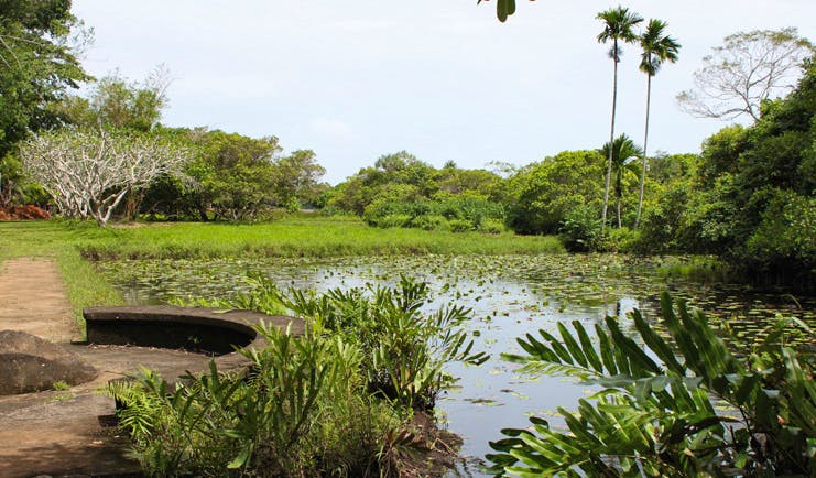 Lunuganga Sri Lanka grounds gardens and pond