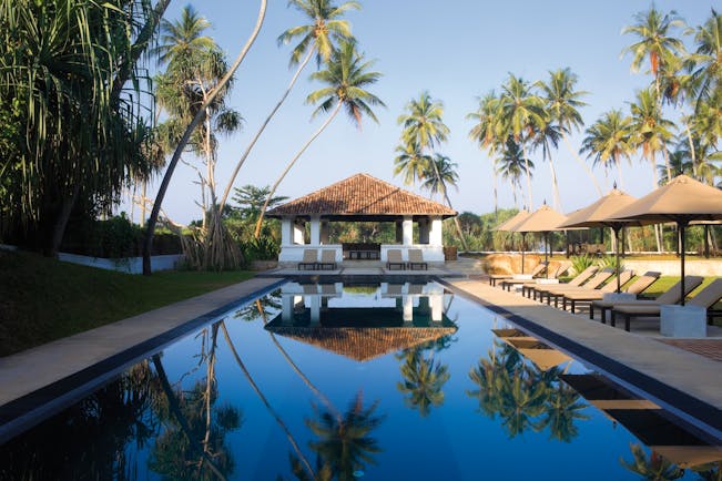 Outdoor swimming pool with umbrellas and sunloungers around the pool edge and palm trees above 
