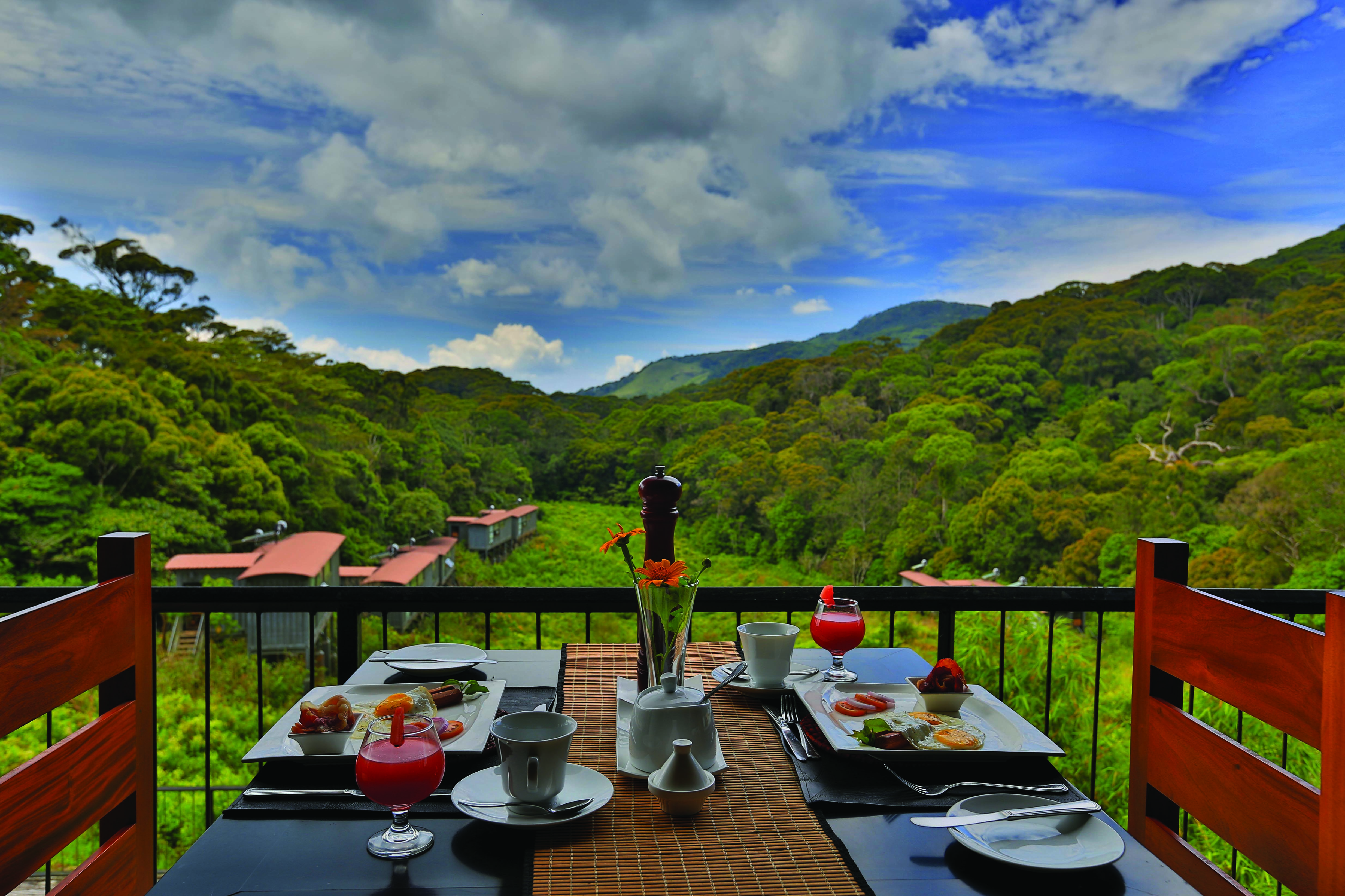 Rainforest Eco Lodge balcony, breakfast set on table, views over fields and trees
