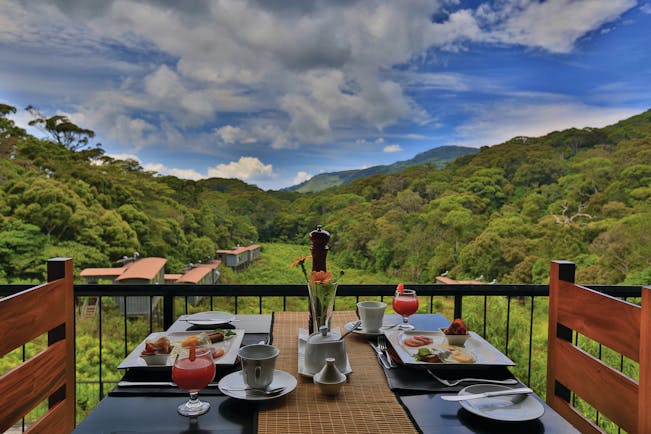 Rainforest Eco Lodge balcony, breakfast set on table, views over fields and trees