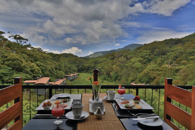 Rainforest Eco Lodge balcony, breakfast set on table, views over fields and trees