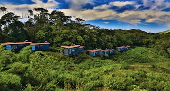 Rainforest Eco Lodge lodges nestled in treetops