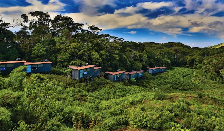 Rainforest Ecolodge Sinharaja | Luxury bespoke touring holidays